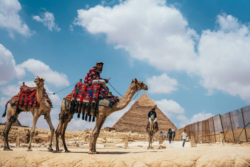 Arabic Website Design Basics Every Designer Should Know 7 pexels omar ramadan 1739260 31728427 1